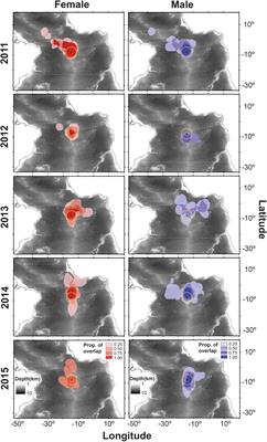 Year-Round Movements of Sooty Terns (Onychoprion fuscatus) Nesting Within One of the Atlantic’s Largest Marine Protected Areas